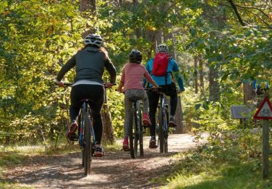 Rajdy rowerowe i towarzyszące im pikniki to cykl 4 bezpłatnych wydarzeń rekreacyjno-sportowych, których celem jest promocja turystyki rowerowej, aktywnego stylu życia oraz projektów zrealizowanych w województwie śląskim dzięki wsparciu Funduszy Europejskich.