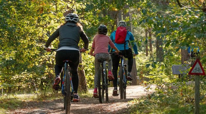 Rajdy rowerowe i towarzyszące im pikniki to cykl 4 bezpłatnych wydarzeń rekreacyjno-sportowych, których celem jest promocja turystyki rowerowej, aktywnego stylu życia oraz projektów zrealizowanych w województwie śląskim dzięki wsparciu Funduszy Europejskich.