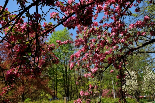 fot.Łukasz Nowak iln24.pl