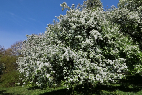 fot.Łukasz Nowak iln24.pl