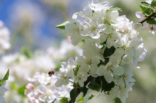 fot.Łukasz Nowak iln24.pl