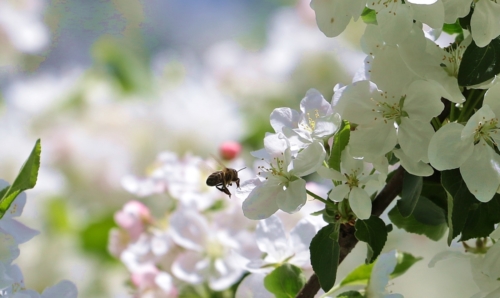 fot.Łukasz Nowak iln24.pl