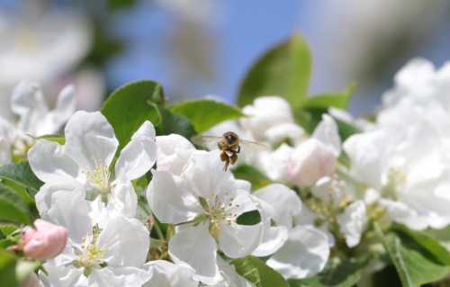 fot.Łukasz Nowak iln24.pl