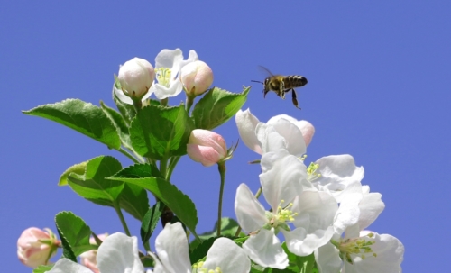 fot.Łukasz Nowak iln24.pl