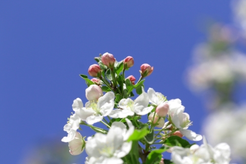 fot.Łukasz Nowak iln24.pl