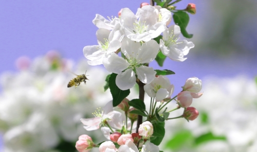 fot.Łukasz Nowak iln24.pl