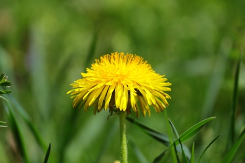 fot.Łukasz Nowak iln24.pl