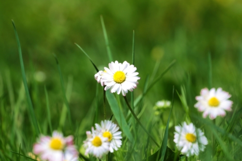 fot.Łukasz Nowak iln24.pl