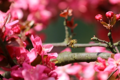 fot.Łukasz Nowak iln24.pl