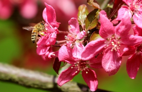 fot.Łukasz Nowak iln24.pl