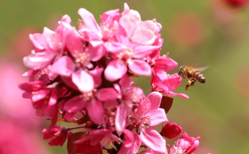 fot.Łukasz Nowak iln24.pl