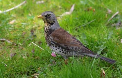 fot.Łukasz Nowak iln24.pl