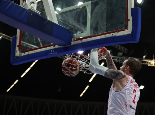 Polska - Nowa Zelandia 19-1